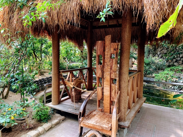 咲くやこの花館の写真2