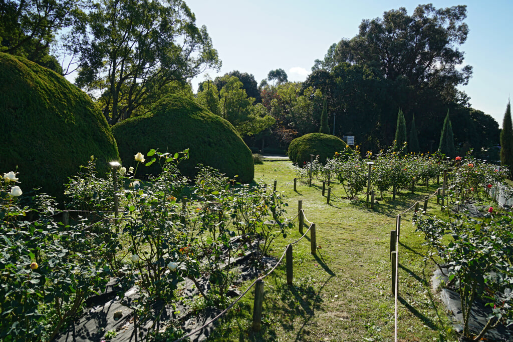 服部緑地の写真8