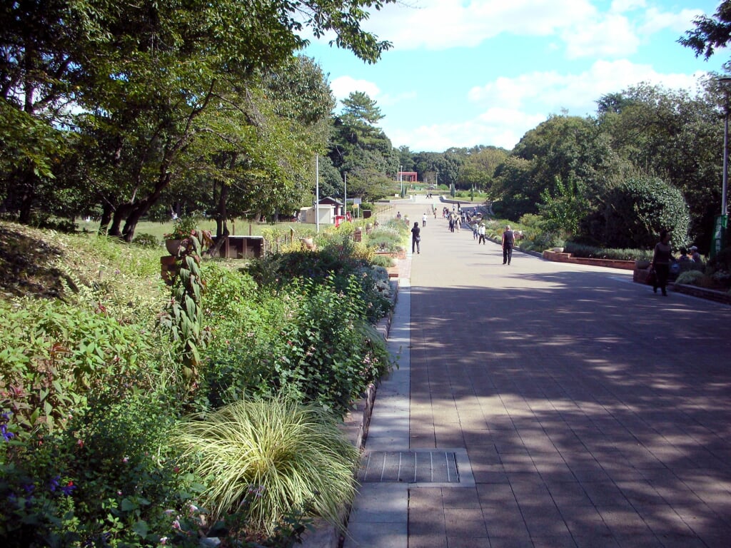 服部緑地の写真11