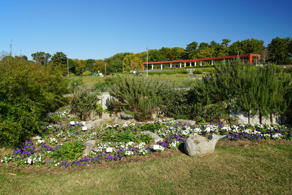 服部緑地の写真1