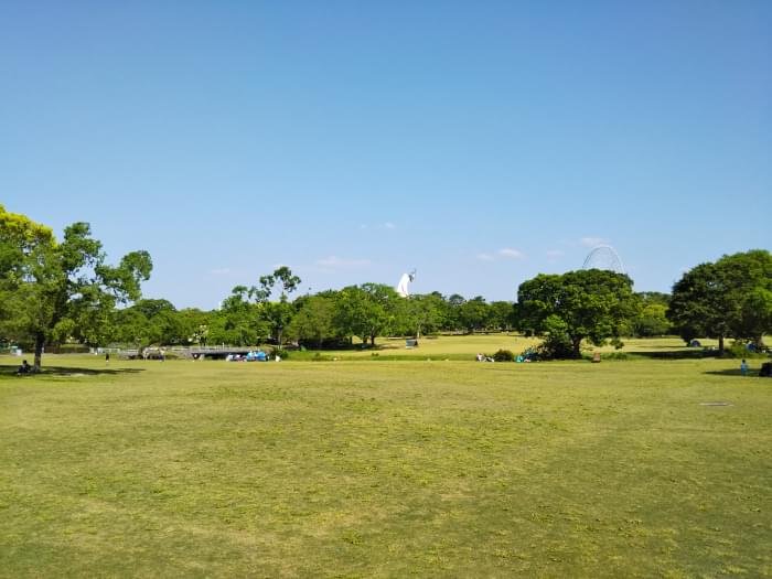 万博記念公園の写真6