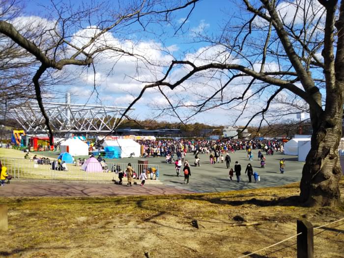 万博記念公園の写真9