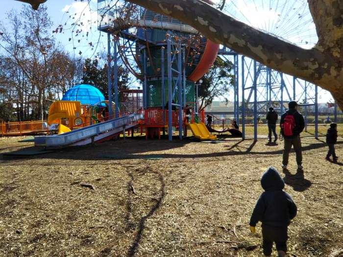 万博記念公園の写真13