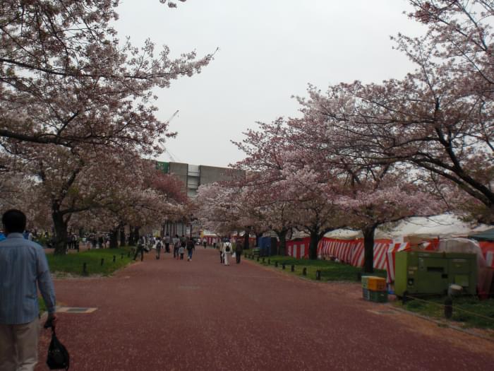 万博記念公園の写真15