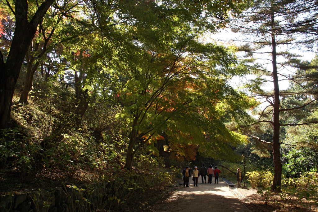 神戸市立森林植物園の写真10