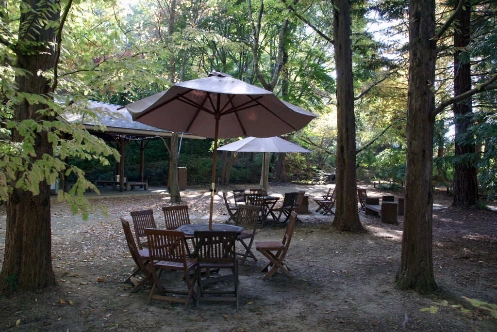 神戸市立森林植物園の写真14