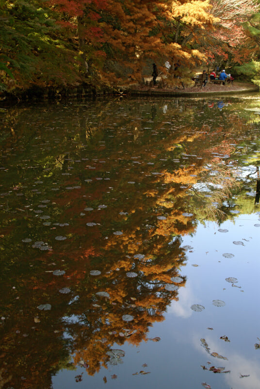 神戸市立森林植物園の写真18