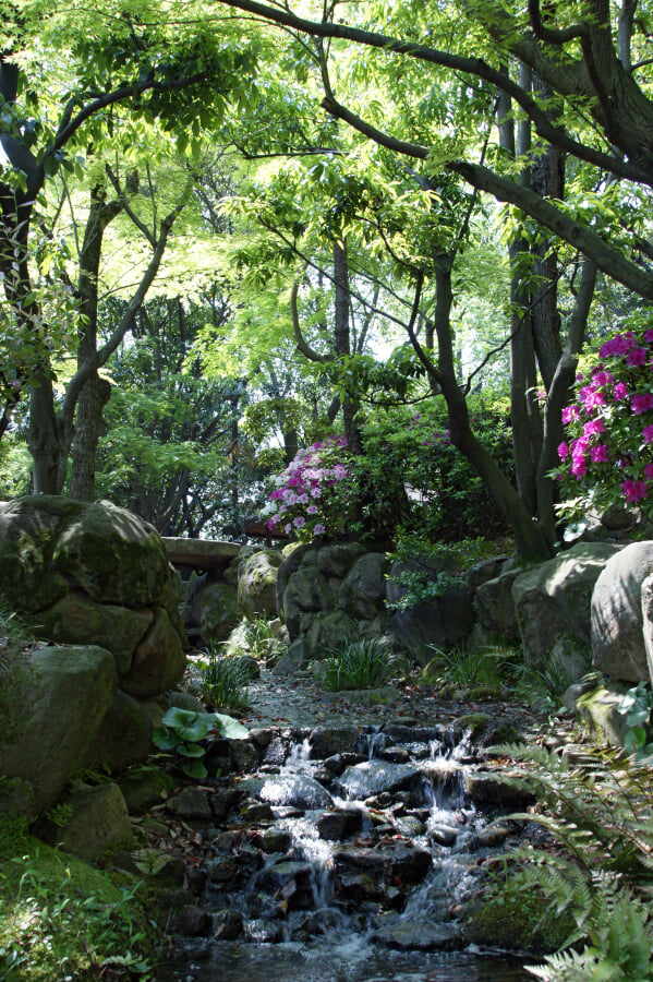 神戸市立相楽園の写真7