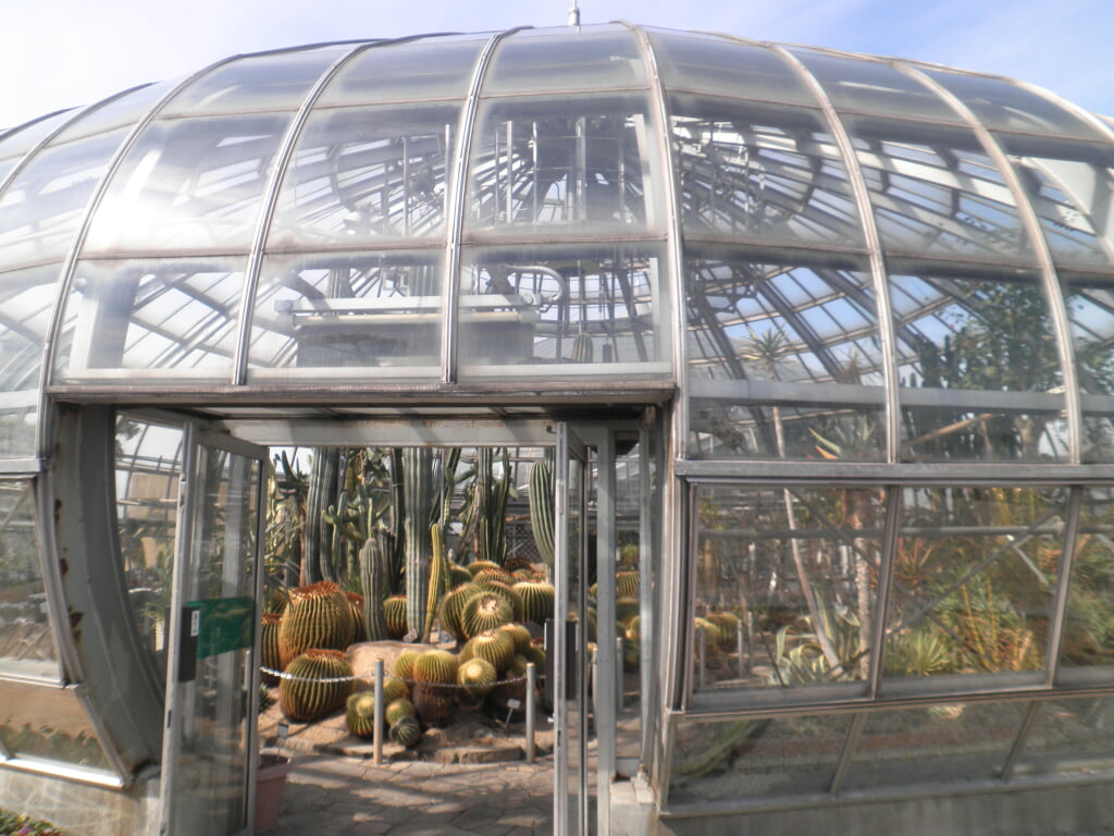 姫路市立 手柄山温室植物園の写真5