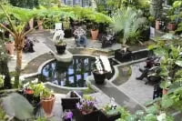 兵庫県立淡路夢舞台温室「奇跡の星の植物館」