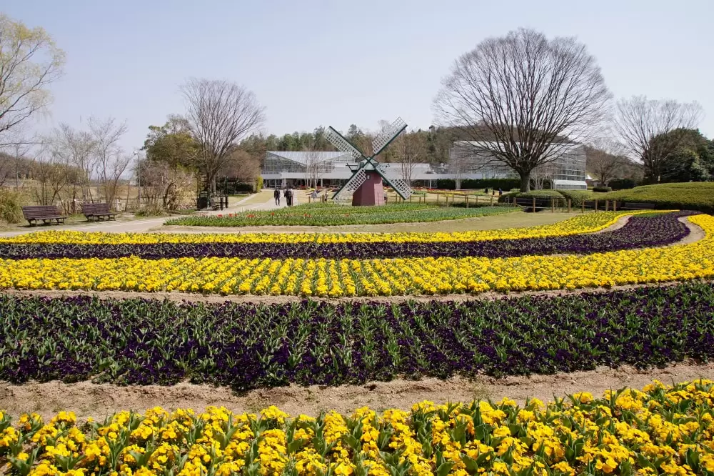 兵庫県立フラワーセンターの写真1