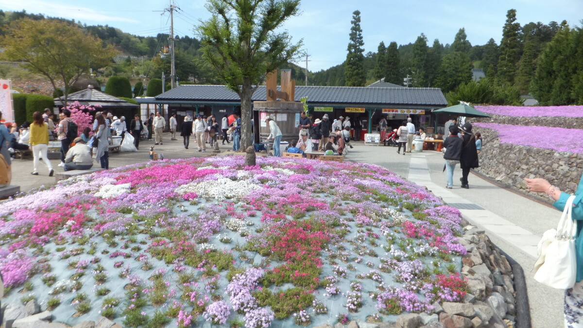 永沢寺花しょうぶ園・ぼたん園の写真2