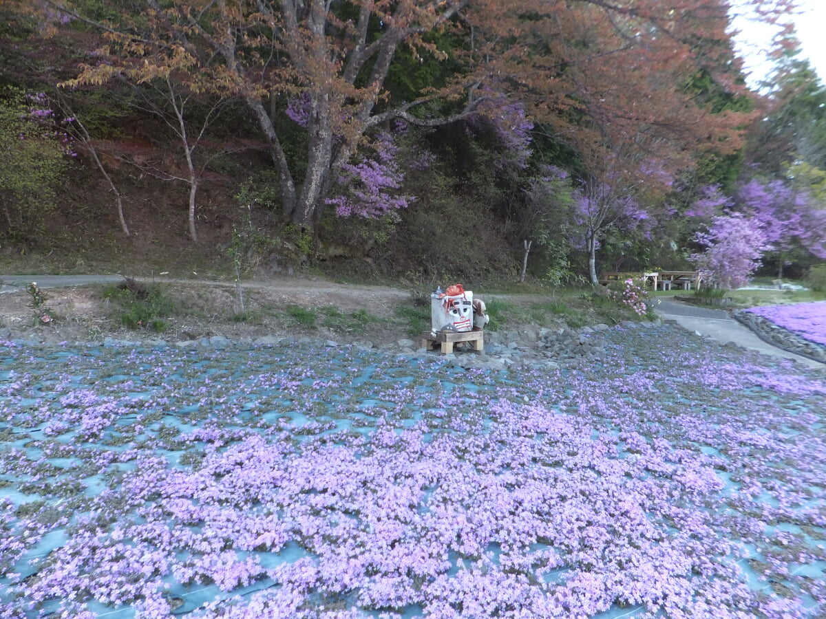 永沢寺花しょうぶ園・ぼたん園の写真6