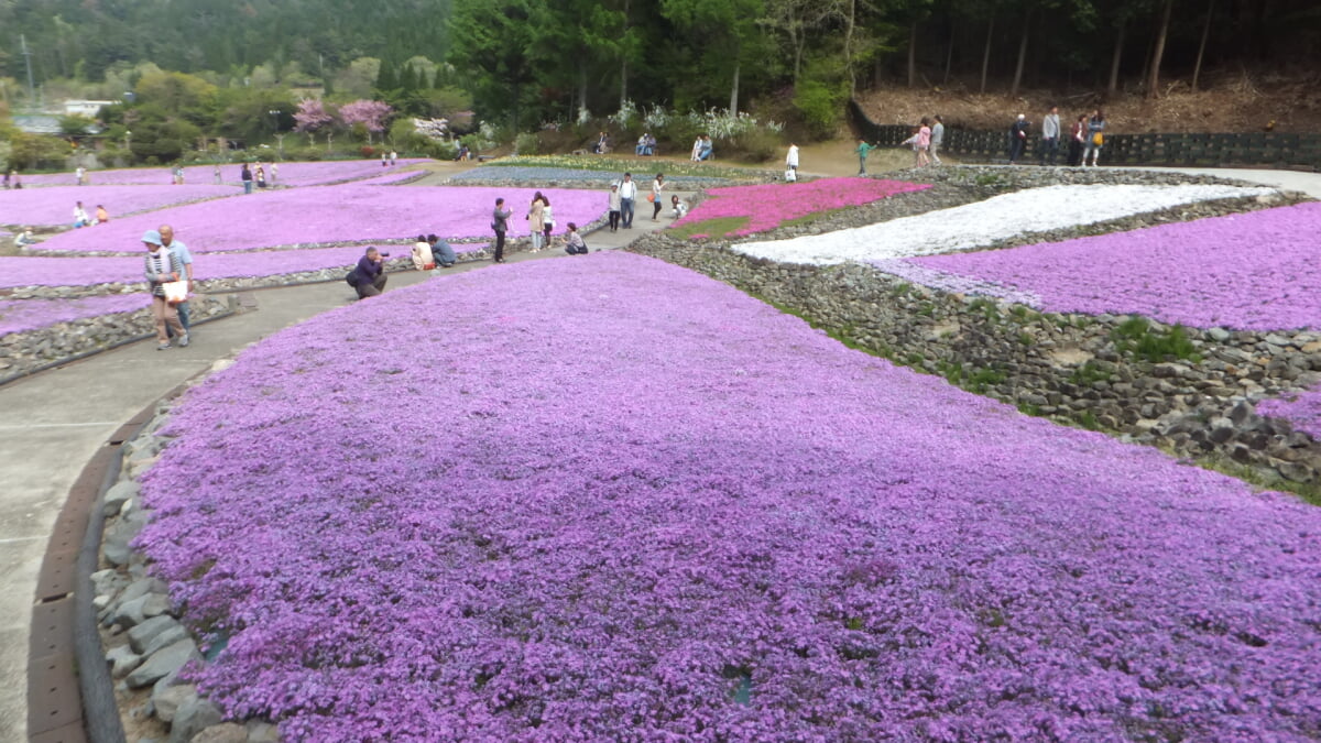 永沢寺花しょうぶ園・ぼたん園の写真7