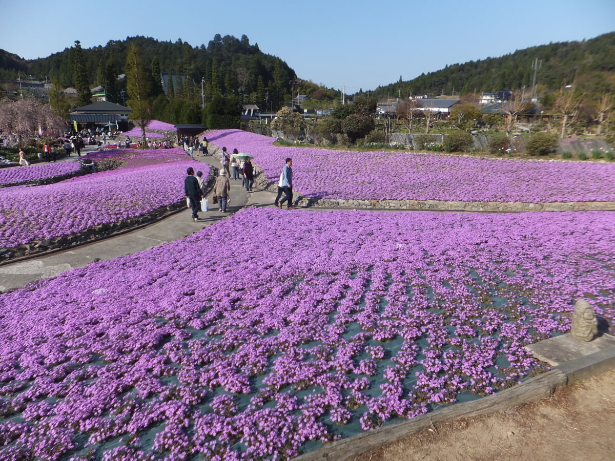 永沢寺花しょうぶ園・ぼたん園の写真9