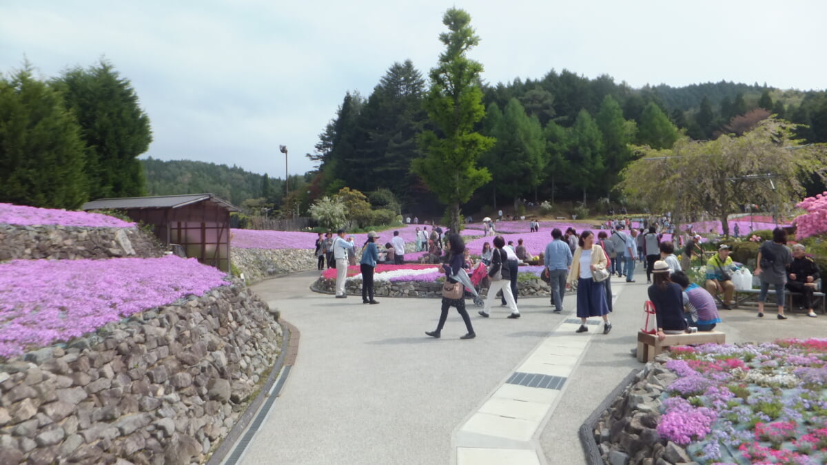 永沢寺花しょうぶ園・ぼたん園の写真12