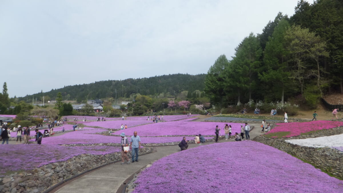 永沢寺花しょうぶ園・ぼたん園の写真13
