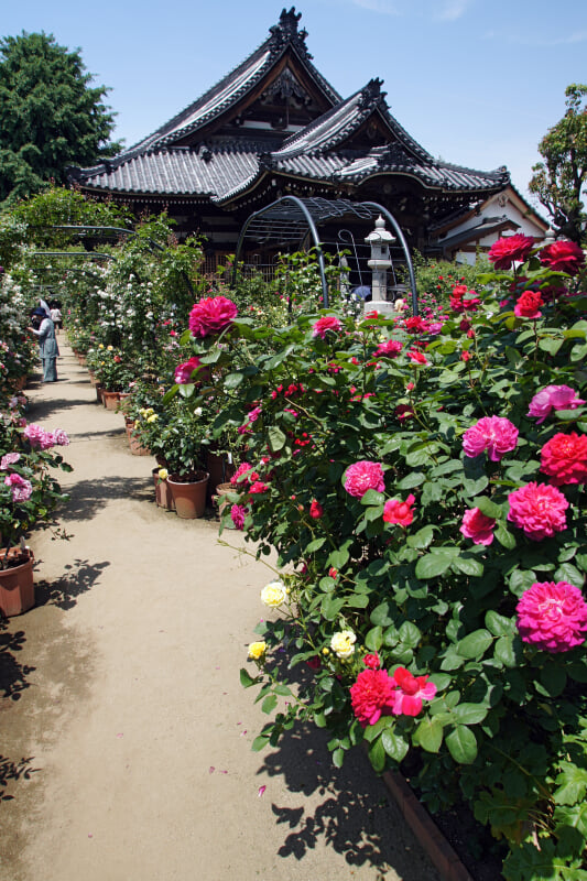 おふさ観音の写真2