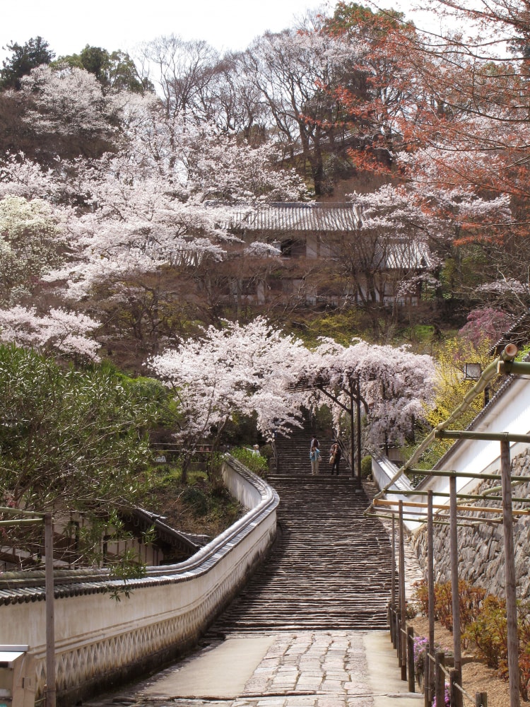 総本山 長谷寺の写真2