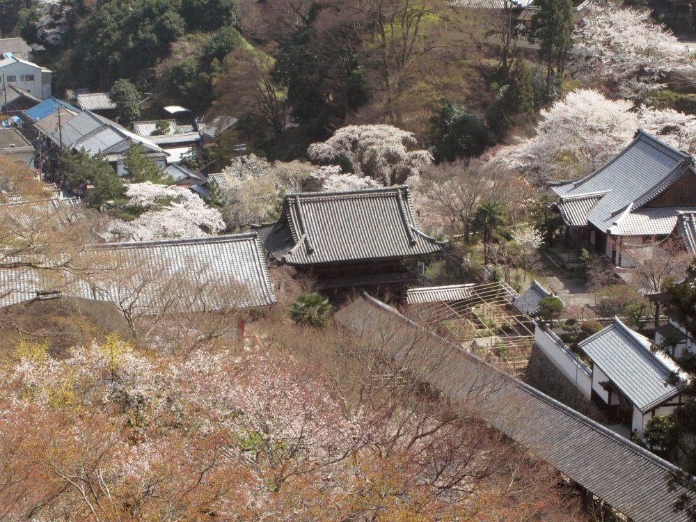 総本山 長谷寺の写真4