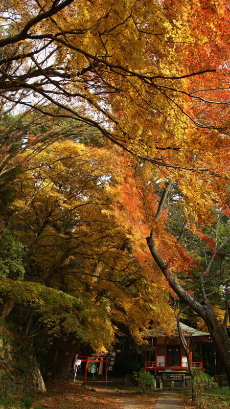 談山神社の写真2