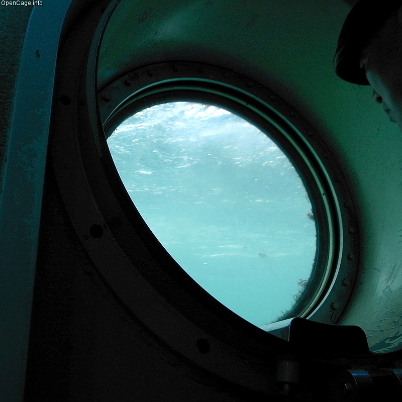 白浜海中展望塔の写真2