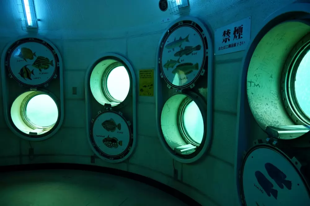 白浜海中展望塔の写真1