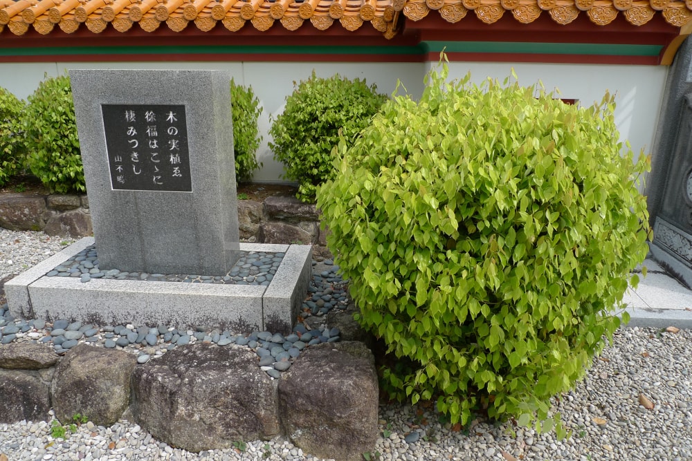 徐福公園の写真6