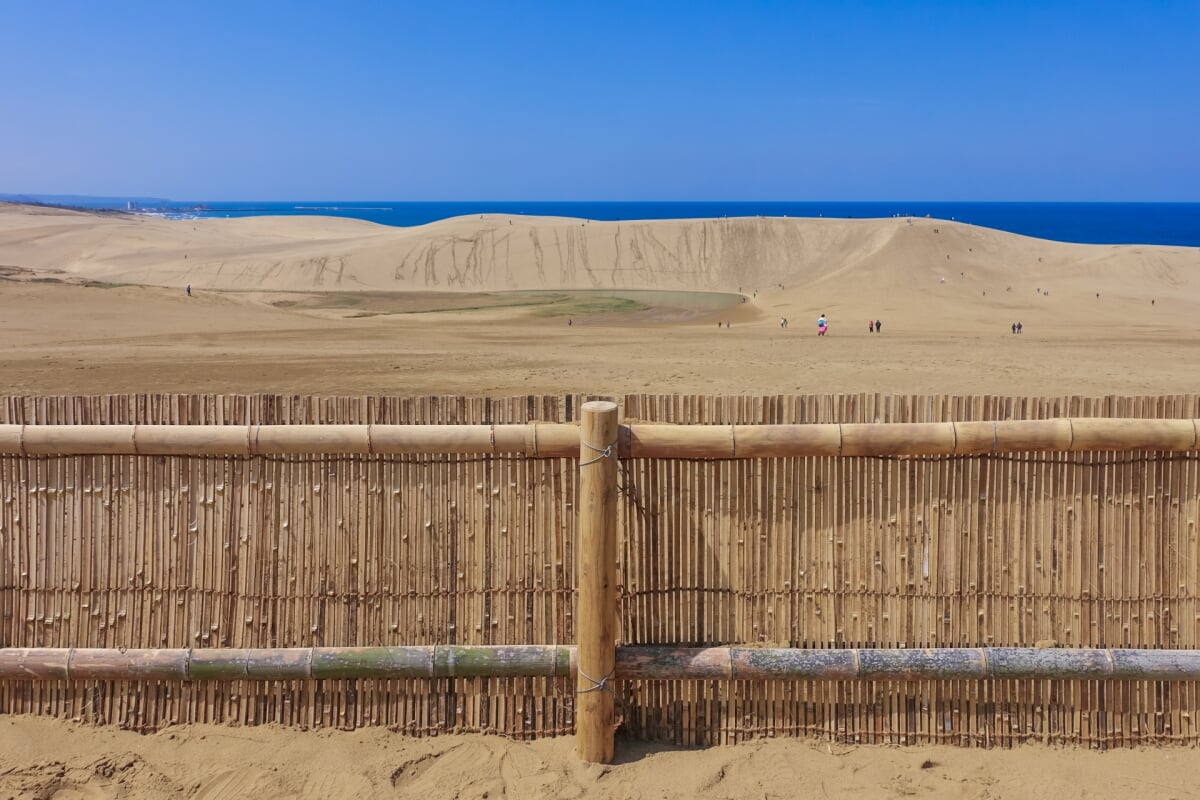 砂丘センター見晴らしの丘・観光リフトの写真3