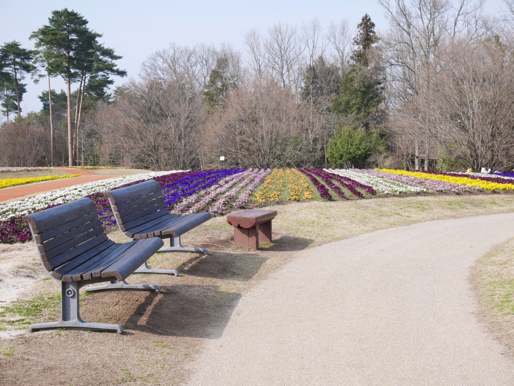 とっとり花回廊の写真3
