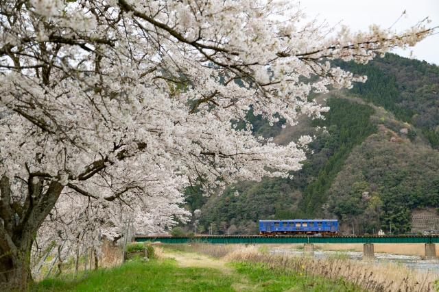 若桜鉄道の写真3