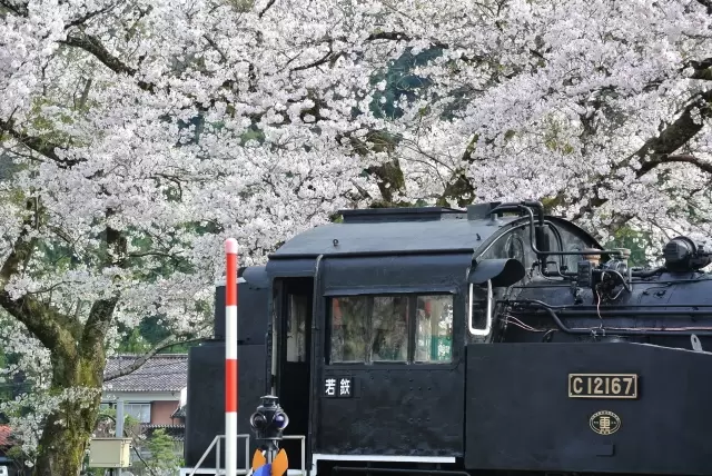 若桜鉄道の写真1