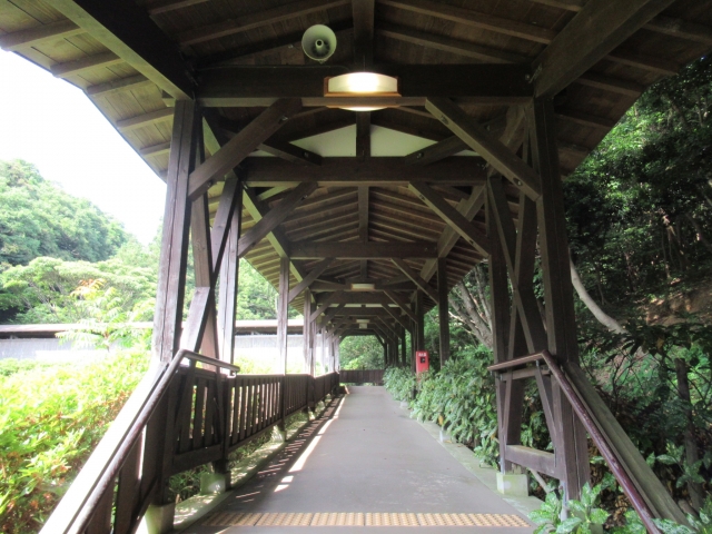 松江フォーゲルパークの写真5