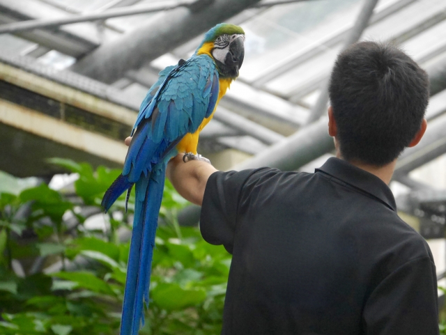 松江フォーゲルパークの写真6