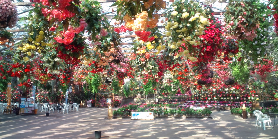 松江フォーゲルパークの写真11