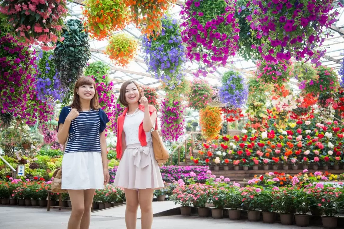 松江フォーゲルパークの写真1