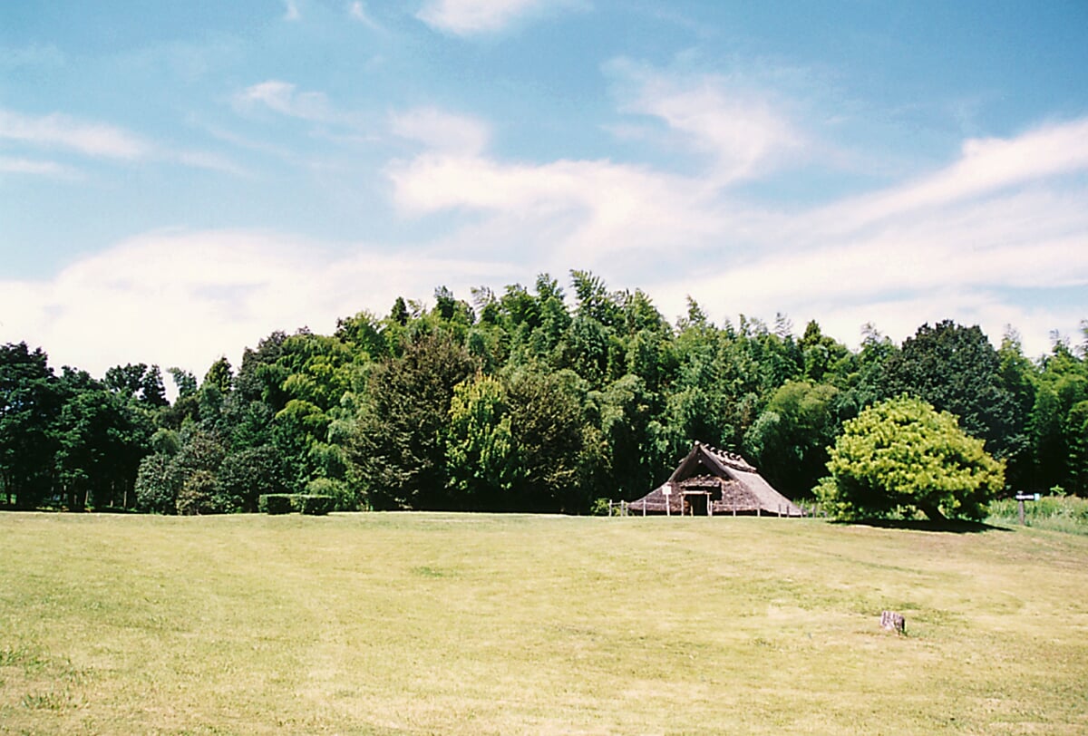 八雲立つ風土記の丘の写真2