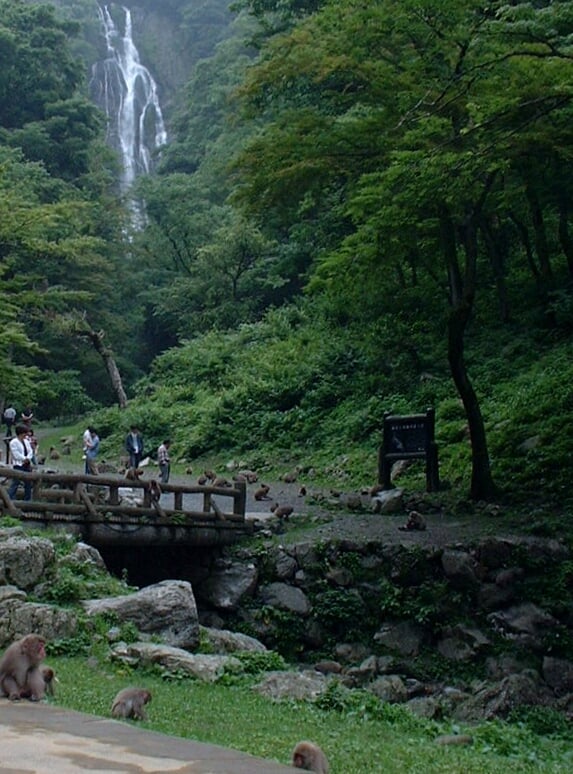 神庭の滝の写真5