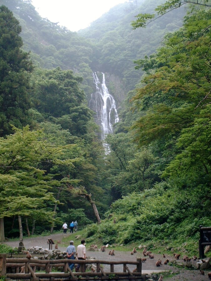 神庭の滝の写真9