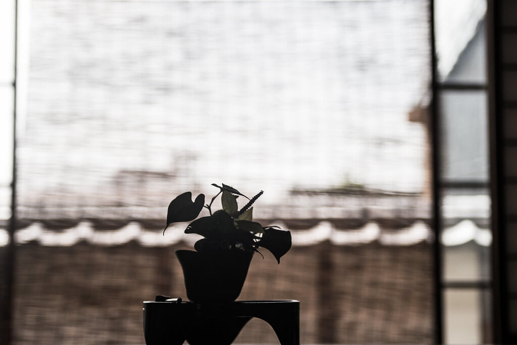 国指定重要文化財 大橋家住宅の写真6