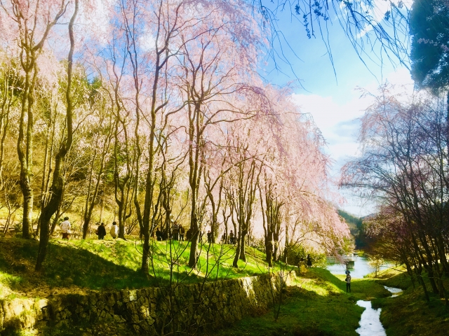 世羅 甲山ふれあいの里の写真4