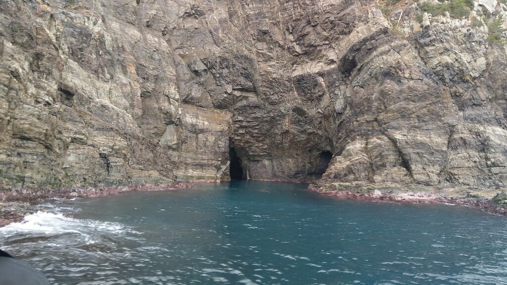 青海島観光汽船の写真2