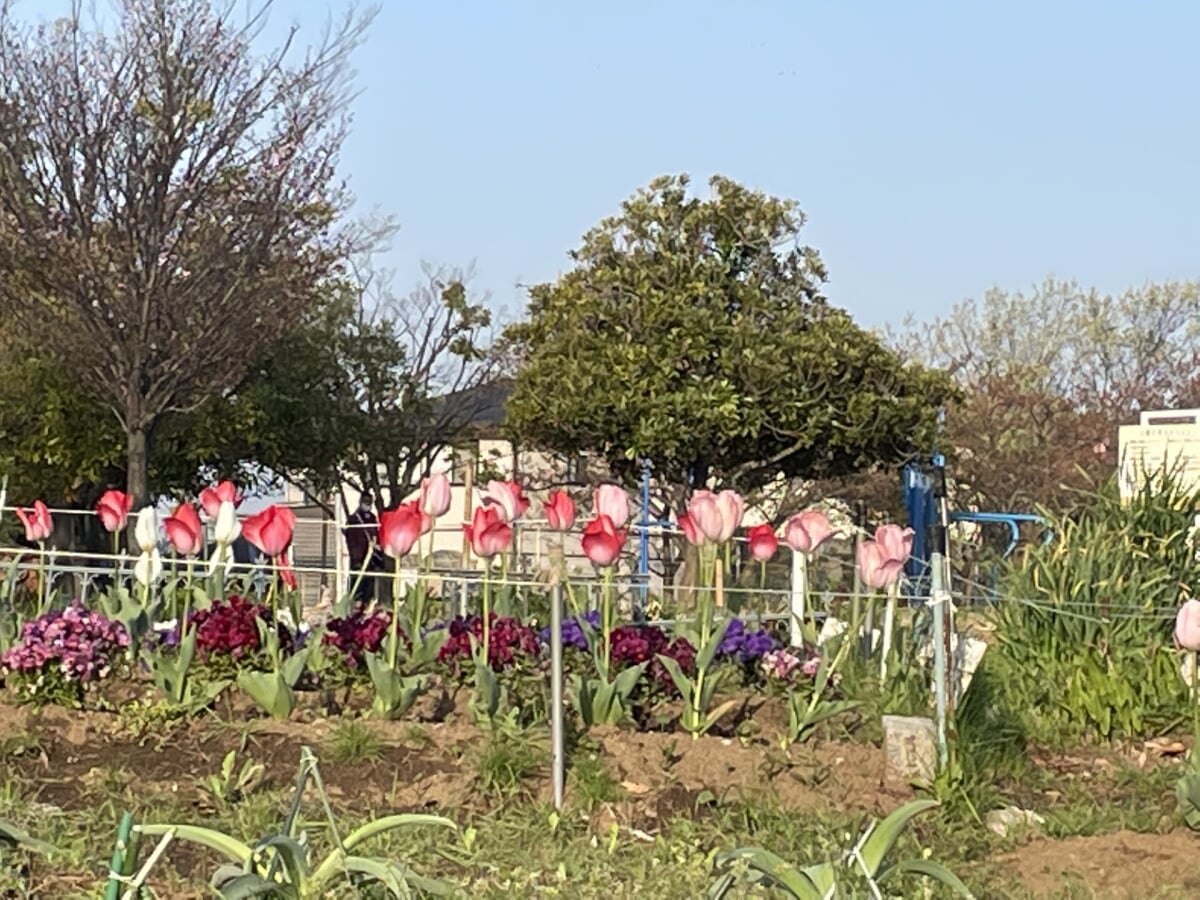 上品濃公園の写真2