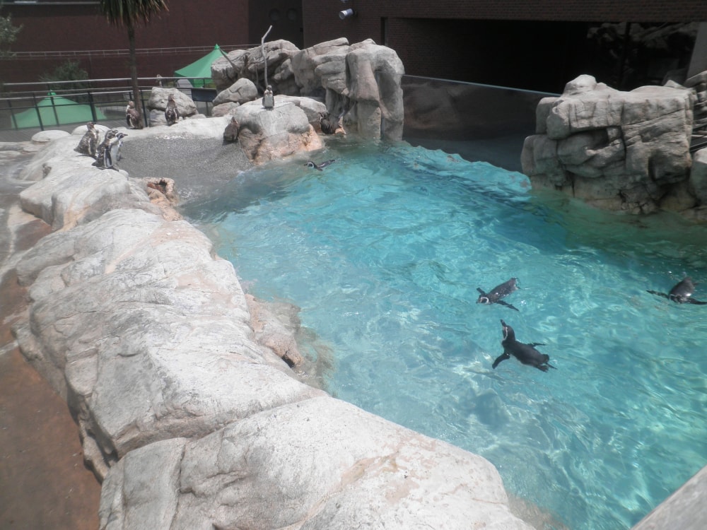 下関市立しものせき水族館の写真2