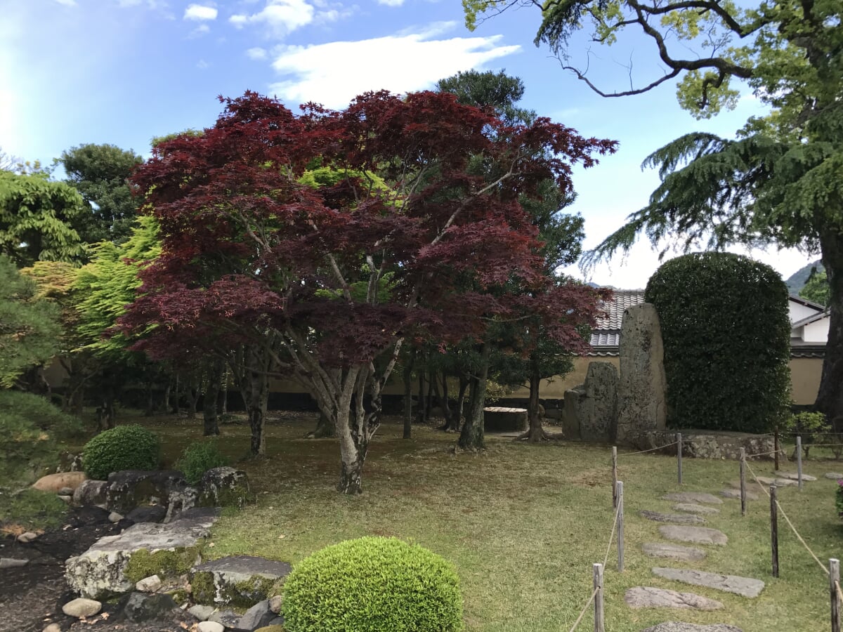 重要文化財 菊屋家住宅の写真5