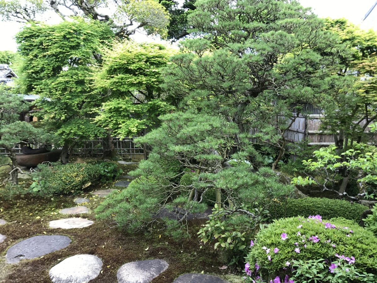 重要文化財 菊屋家住宅の写真15