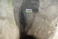 天然記念物 大正洞