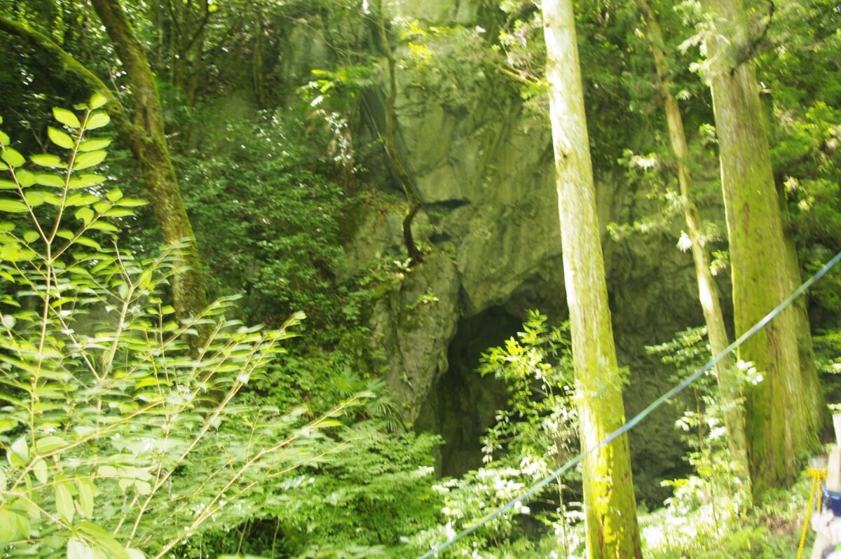 天然記念物 大正洞の写真3