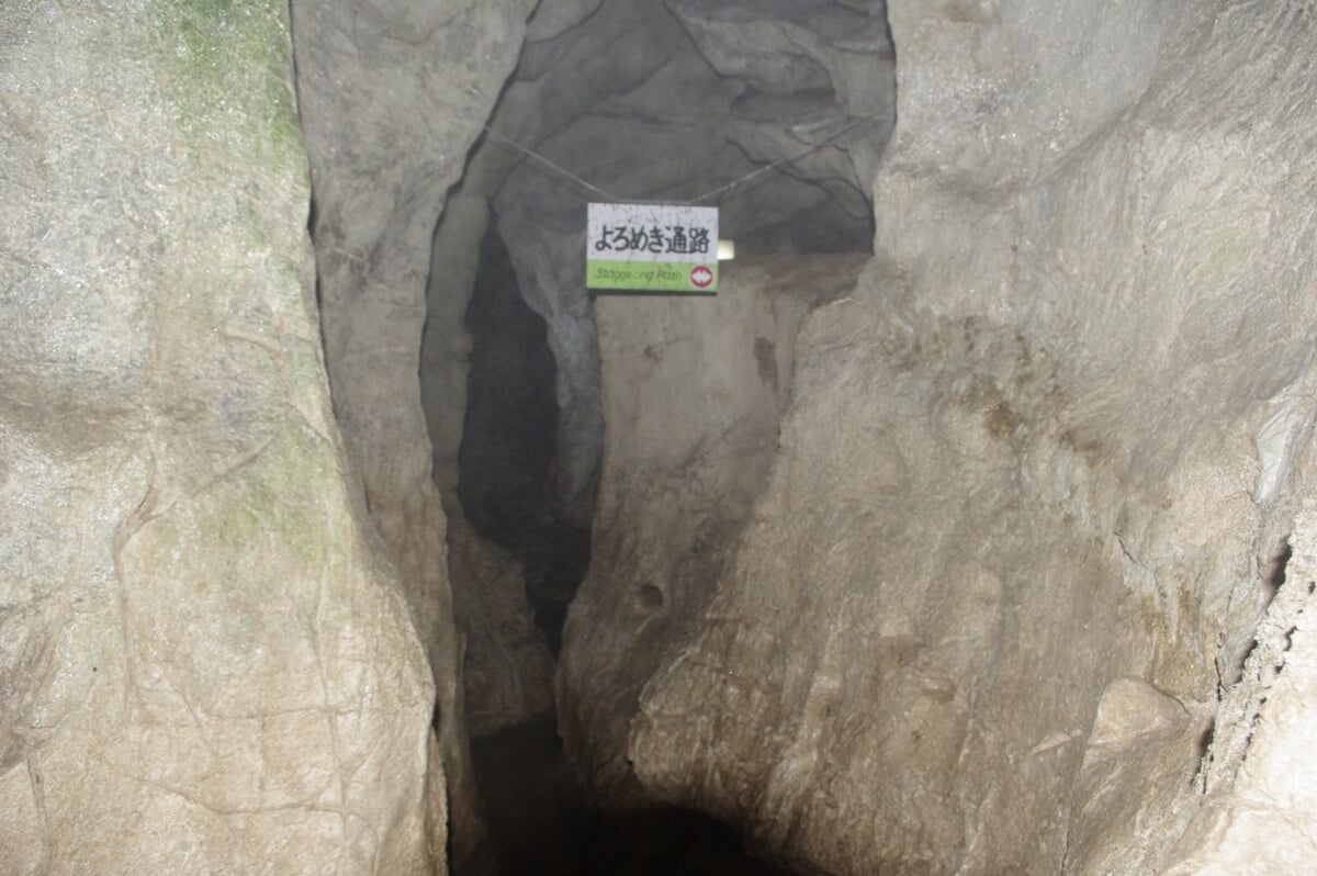 天然記念物 大正洞の写真1