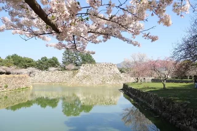 萩城跡指月公園の写真1
